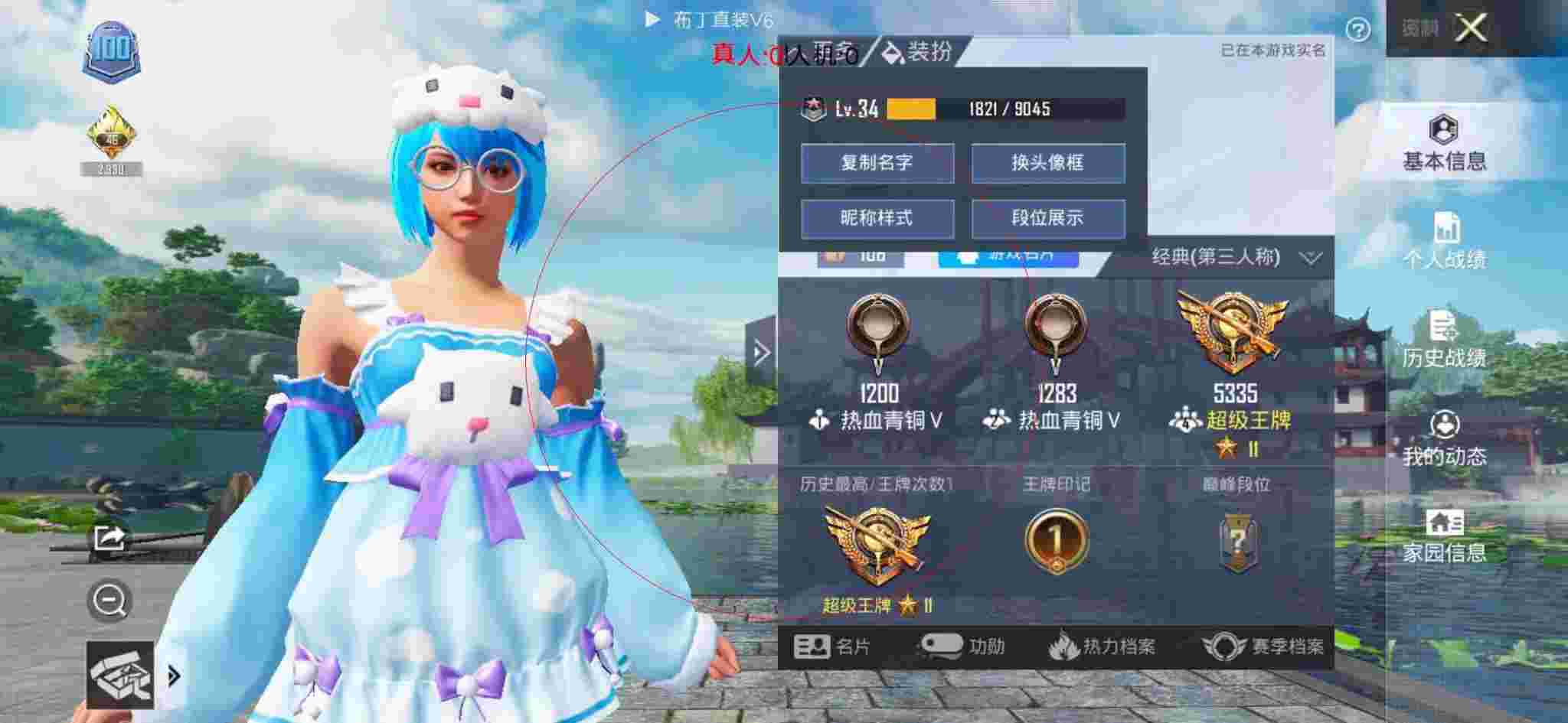 和平精英布丁直装透视 - 和平精英卡片生成器辅助预览图